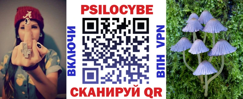 Псилоцибиновые грибы Psilocybe  где продают   Афипский 